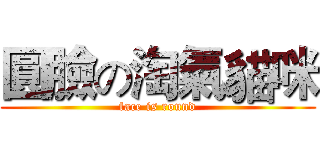 圓臉の淘氣貓咪 (face is round)