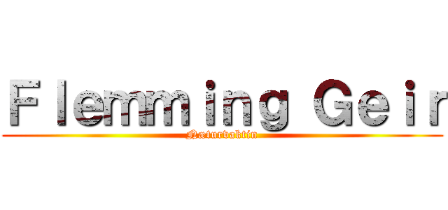 Ｆｌｅｍｍｉｎｇ Ｇｅｉｒ (Næturvaktin)