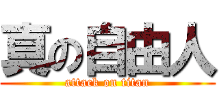 真の自由人 (attack on titan)