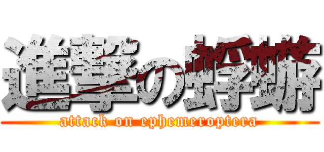 進撃の蜉蝣 (attack on ephemeroptera)