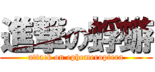 進撃の蜉蝣 (attack on ephemeroptera)