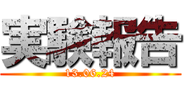 実験報告 (13.06.24)