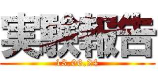実験報告 (13.06.24)