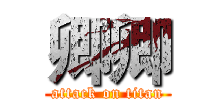 卿卿 (attack on titan)