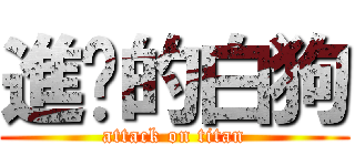 進擊的白狗 (attack on titan)