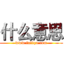 什么意思 (www.fuliqu.com)