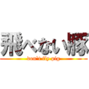 飛べない豚 (don`t fly pig)