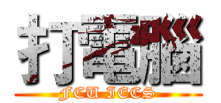 打電腦 (FCU IECS)