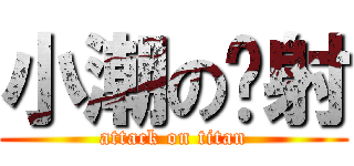 小潮の內射 (attack on titan)