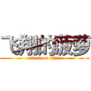 飞翔的菠萝 (attack on titan)