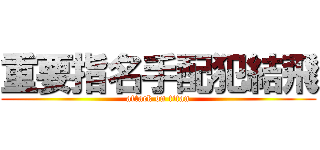 重要指名手配犯結飛 (attack on titan)