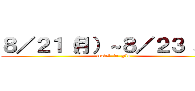 ８／２１（月）～８／２３（水） (travel  in  gifu)