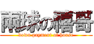 兩球の禧哥 (down payment of house)