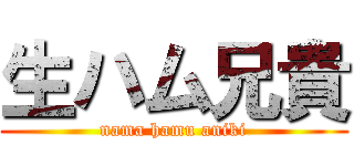 生ハム兄貴 (nama hamu aniki)