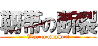 靭帯の断裂 (Tear of ligament)