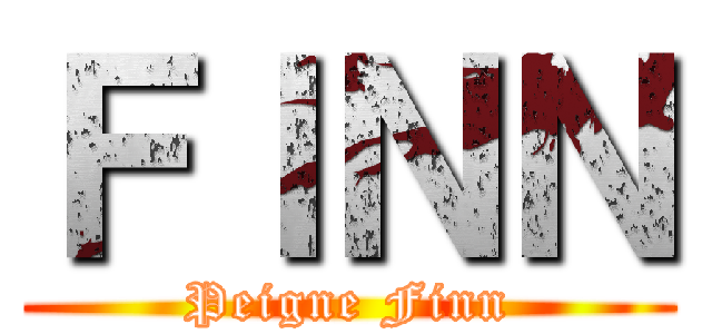 ＦＩＮＮ (Peigne Finn)