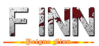 ＦＩＮＮ (Peigne Finn)