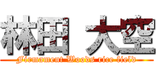 林田 大空 (Firmament Woods rice field)