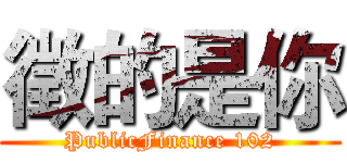 徵的是你 (PublicFinance 102)