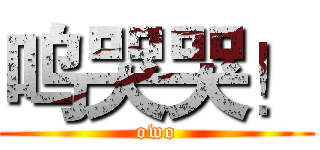 呜哭哭！ (owo)