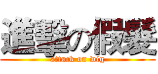 進擊の假髮 (attack on wig)