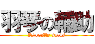 羽琴の輔助 (Is really sucks)