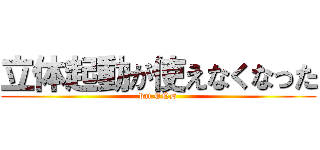 立体起動が使えなくなった (bat END)