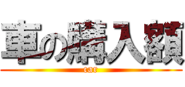 車の購入額 (car)