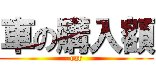 車の購入額 (car)