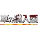 車の購入額 (car)