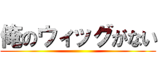 俺のウィッグがない ()