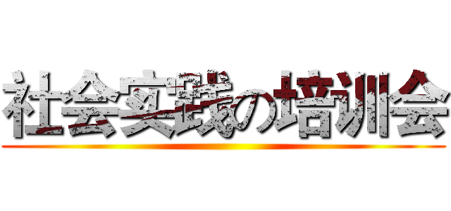 社会实践の培训会 ()