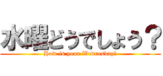 水曜どうでしょう？ (How is your Wednesday?)
