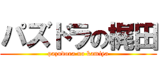 パズドラの梶田 (pazudora no kamiya)