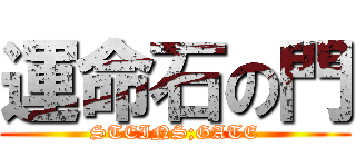 運命石の門 (STEINS;GATE)