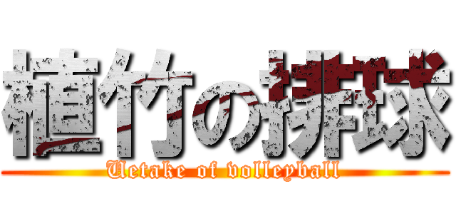 植竹の排球 (Uetake of volleyball)