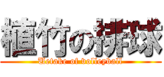 植竹の排球 (Uetake of volleyball)