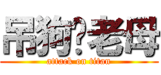 吊狗你老母 (attack on titan)