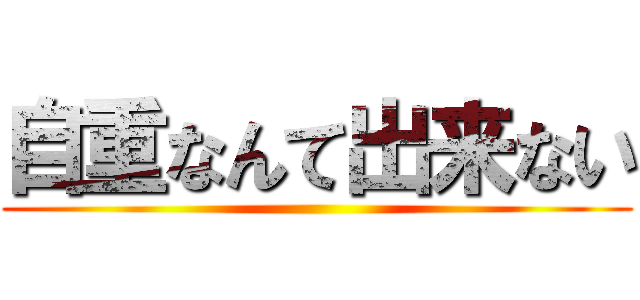 自重なんて出来ない ()