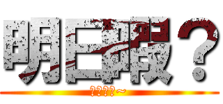 明日暇？ (暇ですか~)