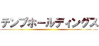 テンプホールディングス ()