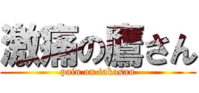 激痛の鷹さん (pain on takasan)