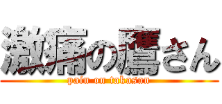 激痛の鷹さん (pain on takasan)