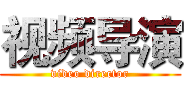 视频导演 (video director)