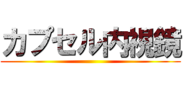 カプセル内視鏡 ()