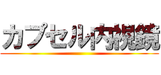 カプセル内視鏡 ()