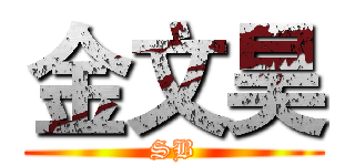 金文昊 (SB)