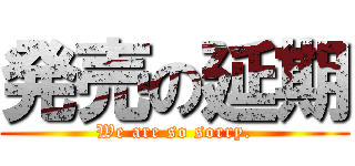 発売の延期 (We are so sorry.)