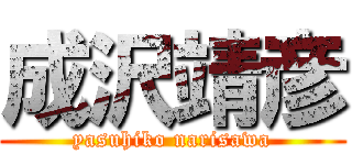 成沢靖彦 (yasuhiko narisawa)