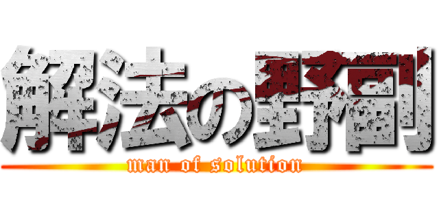 解法の野副 (man of solution)